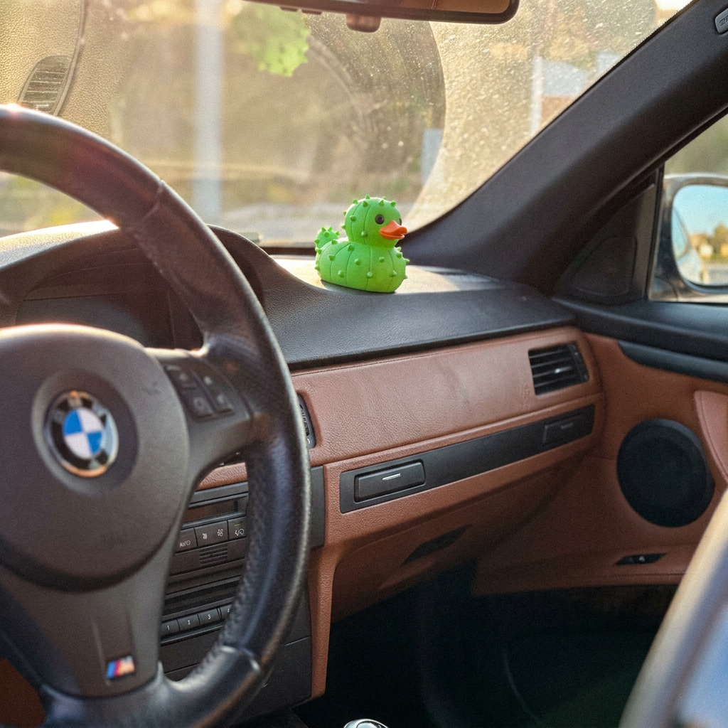 Quactus